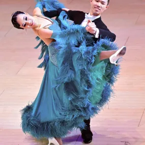 Blue Ballroom Dress with Feathers