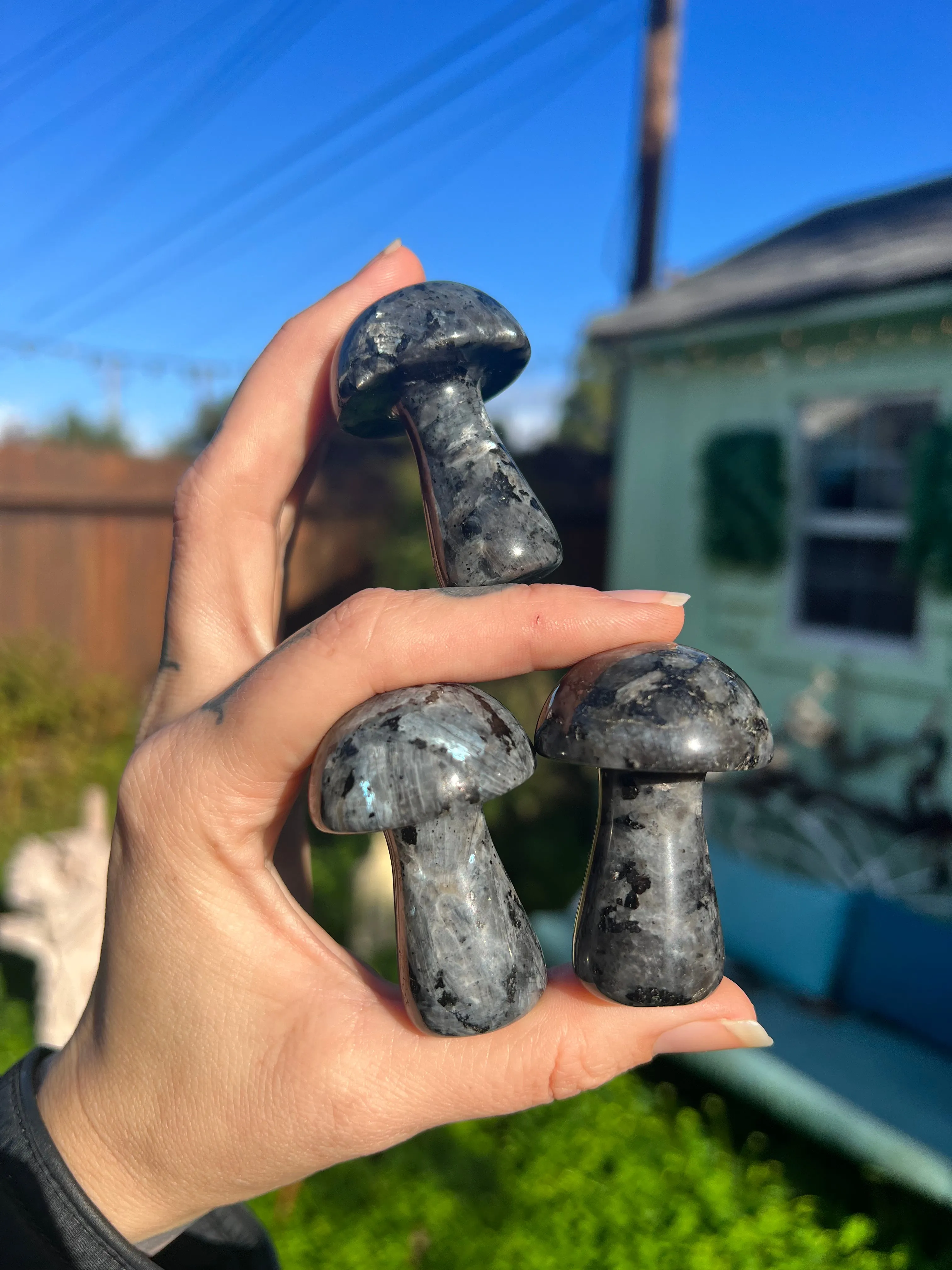 Larvikite mushroom carving