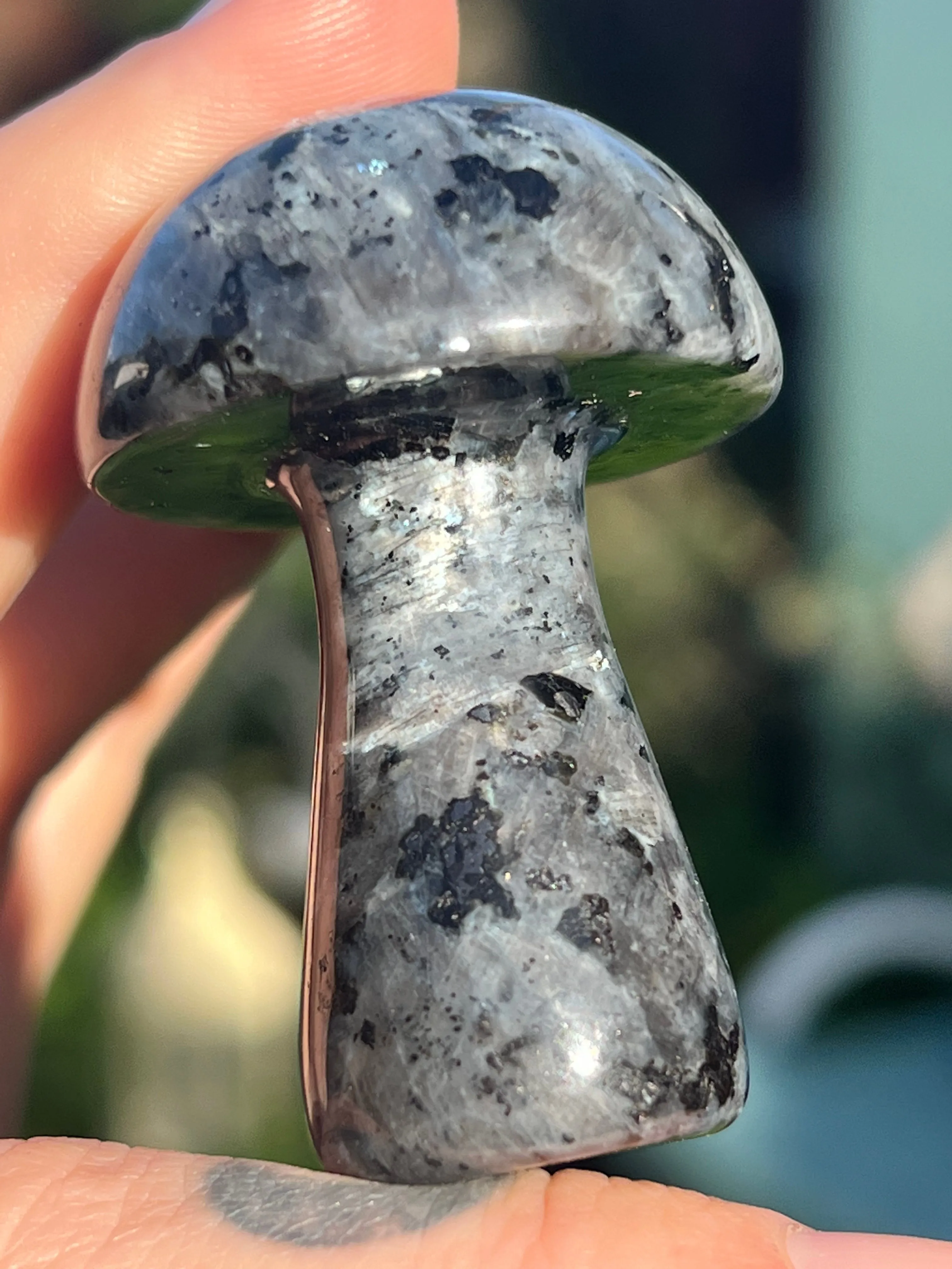 Larvikite mushroom carving